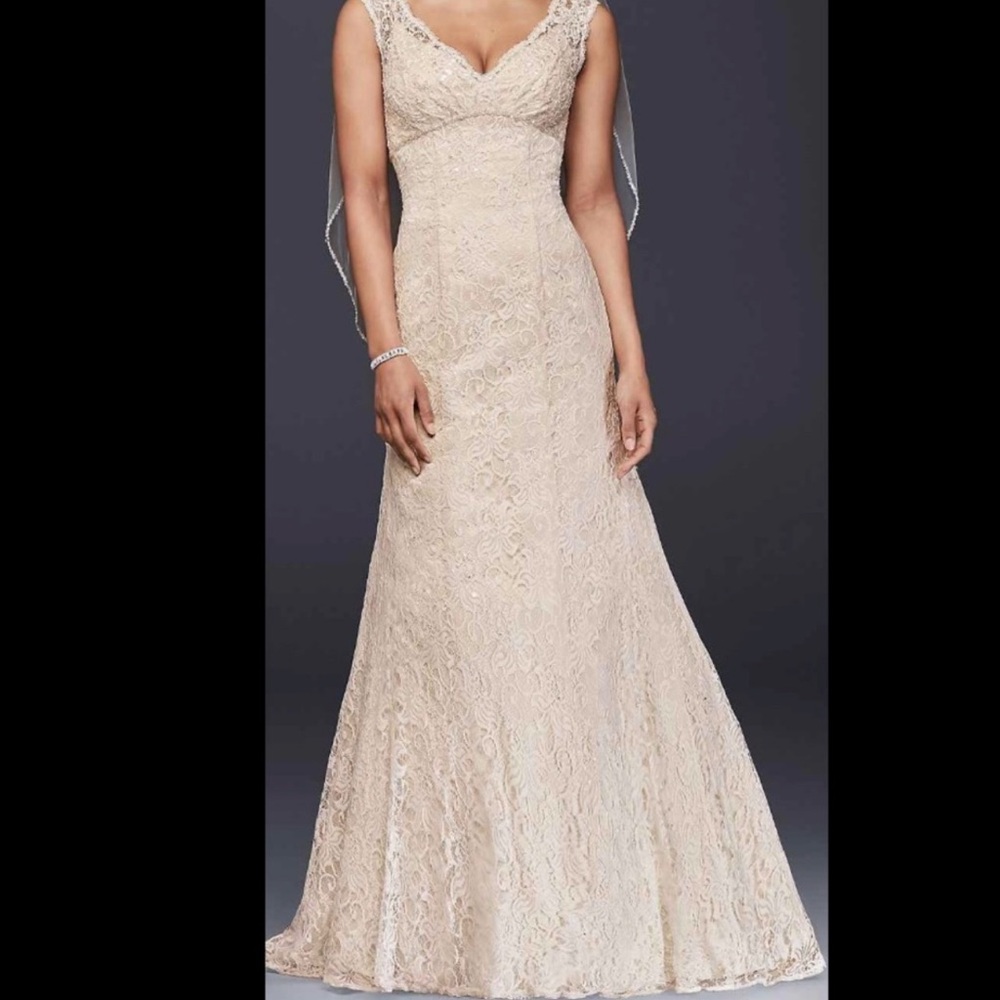 Lace Wedding gown ivory/champagne